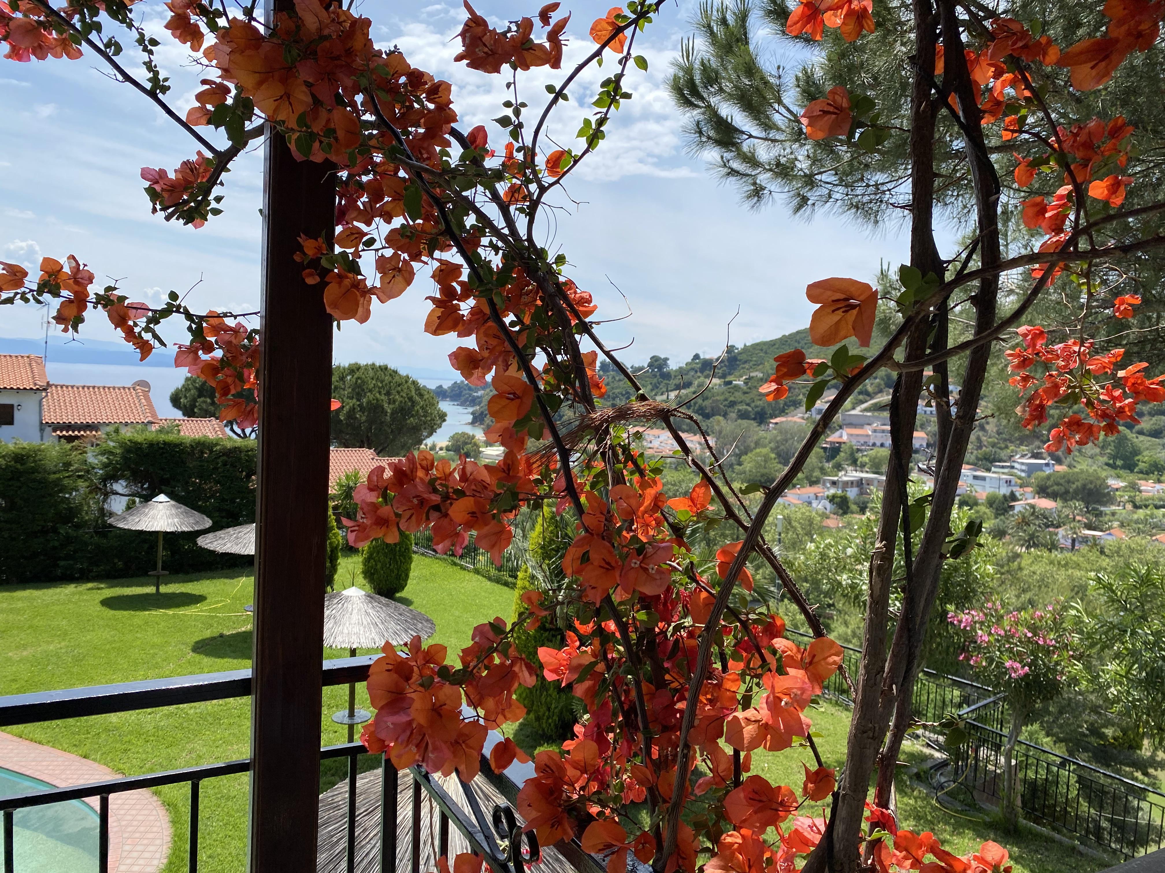 Villa Xanthippi Ajía Paraszkeví Kültér fotó