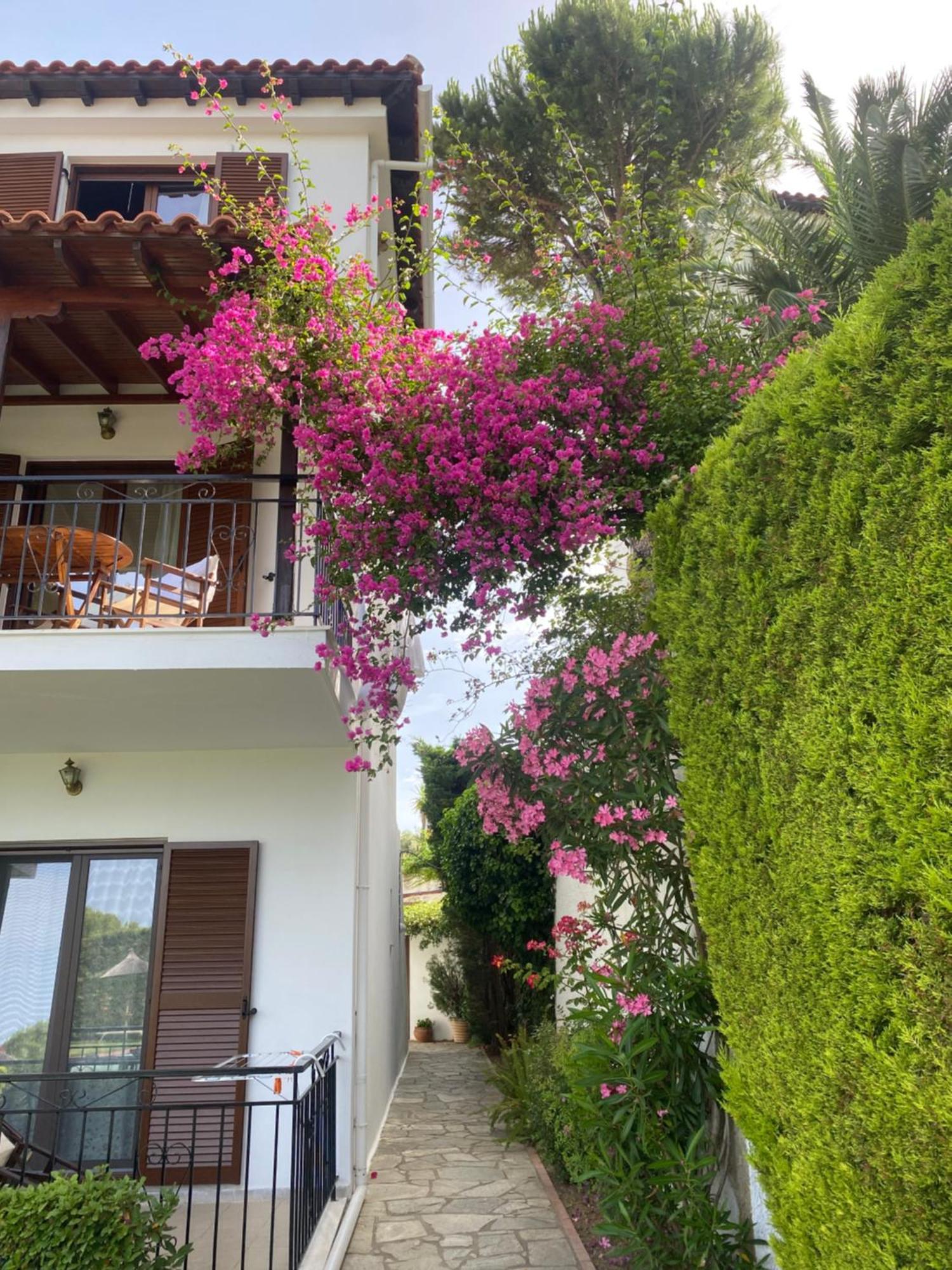 Villa Xanthippi Ajía Paraszkeví Kültér fotó